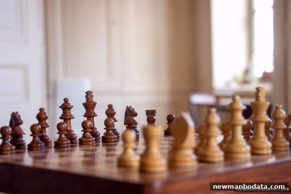 从古至今的智慧博弈：新万博带您领略棋牌文化的千年魅力与滚球盘新体验